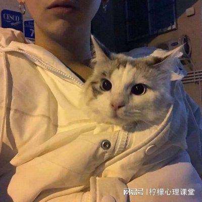 上古战歌之仙缘道骨官方下载
